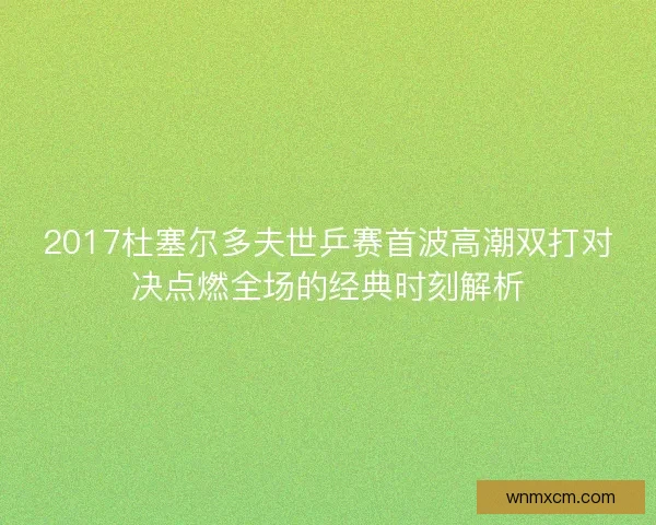 2017杜塞尔多夫世乒赛首波高潮双打对决点燃全场的经典时刻解析