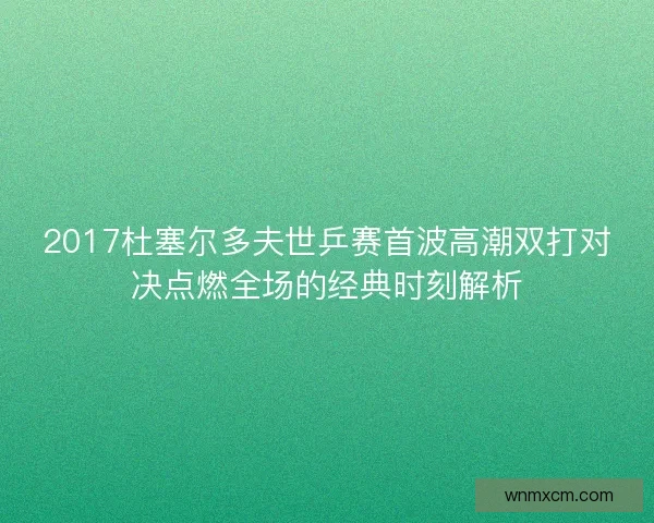 2017杜塞尔多夫世乒赛首波高潮双打对决点燃全场的经典时刻解析